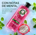 Herbal Sh Pitaya & Menta 400ml. Fardo Q460/12u.