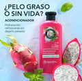 Herbal Ac Pitaya & Menta 400ml. Fardo Q460/12u.