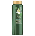 Bioexpert Sh placenta vegetal 650ml/ Fardo Q450 de 12U